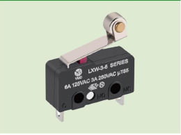 LXW-3-6B-G31C-R5微動(dòng)開(kāi)關(guān)